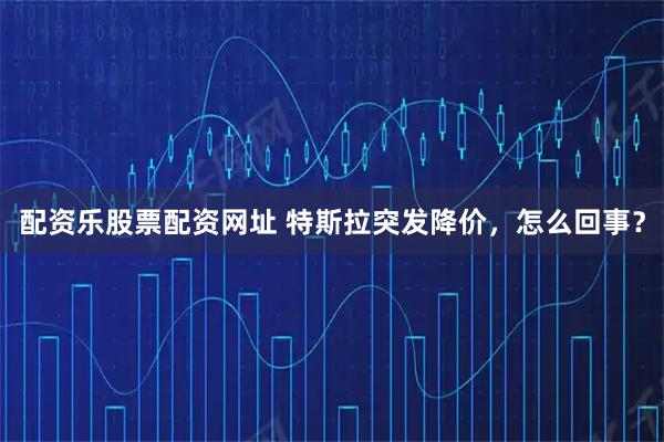 配资乐股票配资网址 特斯拉突发降价，怎么回事？